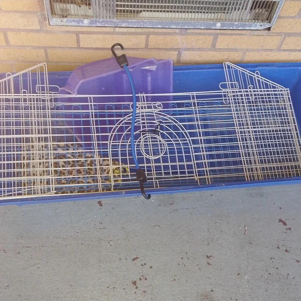 Small animal cage